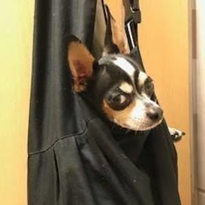 Meet your Posher, Leslie deane